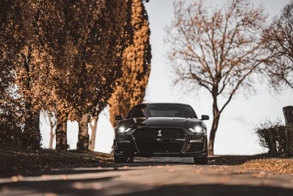 ΣούπερΝόπεα Καζίνο Εφαρμογή Android/iOS